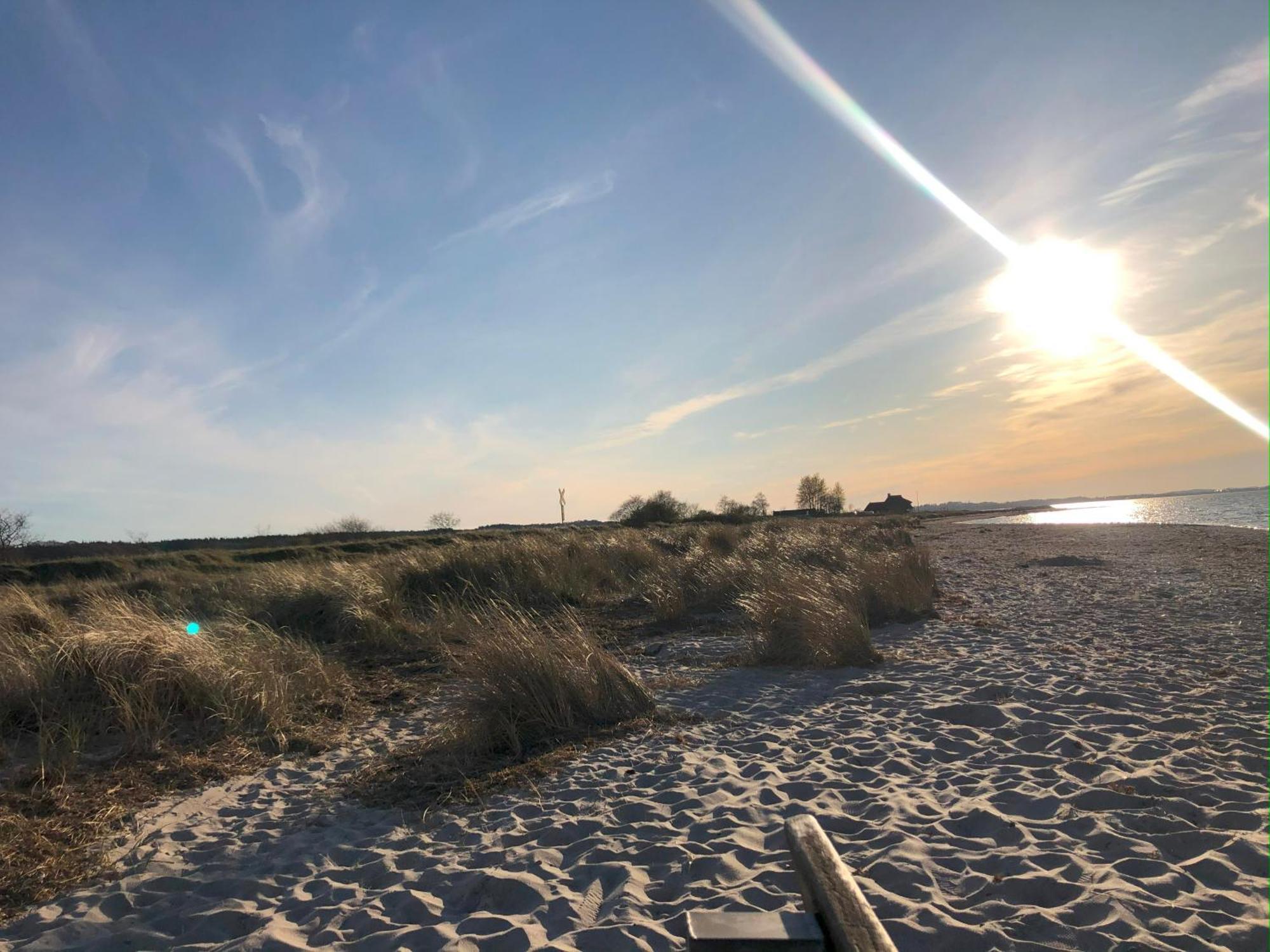 Neue Ferienwohnung An Der Ostsee,Terrasse,Sauna Surendorf Eksteriør billede