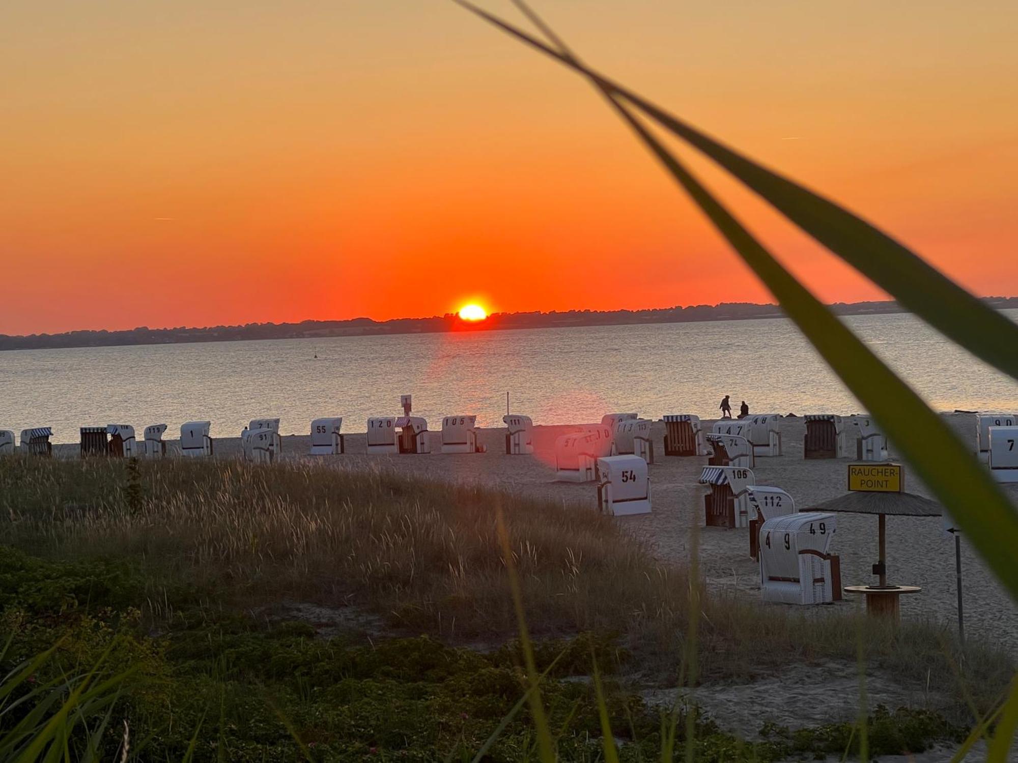 Neue Ferienwohnung An Der Ostsee,Terrasse,Sauna Surendorf Eksteriør billede